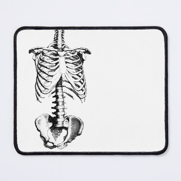 Item preview, Sleleton drawing of ribs, torso and pelvis designed and sold by headpossum.