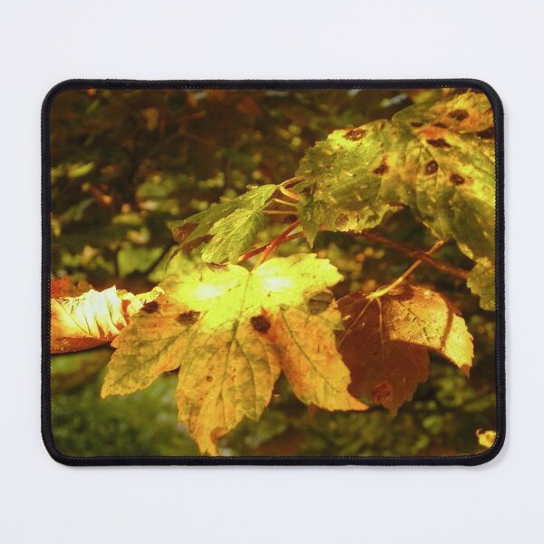 Item preview, Looking - A View  designed and sold by Carl Gaynor.