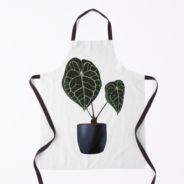 Item preview, Anthurium Clarinervium plant designed and sold by MyPlantyLiving.
