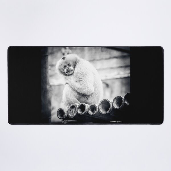 An endless loneliness Desk Mat