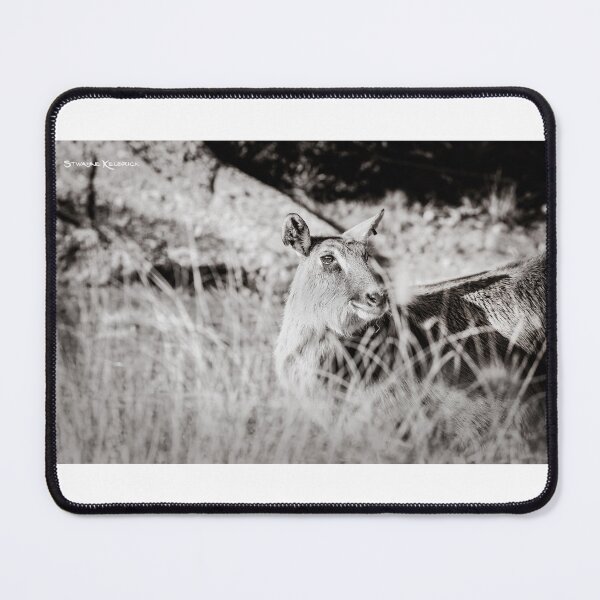 black and white portrait of an innocent doe Mouse Pad