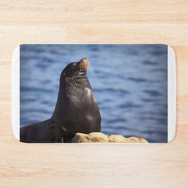 Item preview, Sealion Pose designed and sold by TVD-Photography.