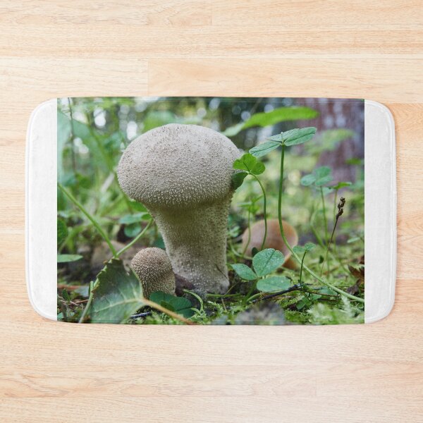 Item preview, Warted puffball in the forest designed and sold by Jouko Lehto Photography.