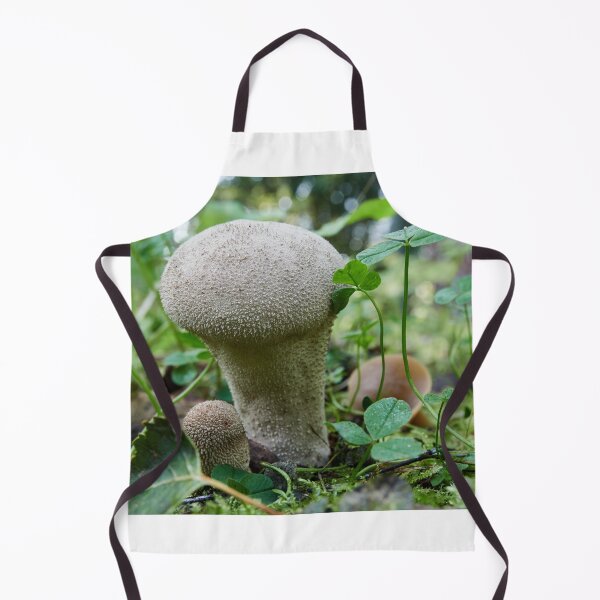 Item preview, Warted puffball in the forest designed and sold by Jouko Lehto Photography.