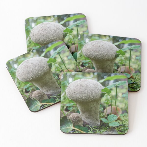 Item preview, Warted puffball in the forest designed and sold by Jouko Lehto Photography.