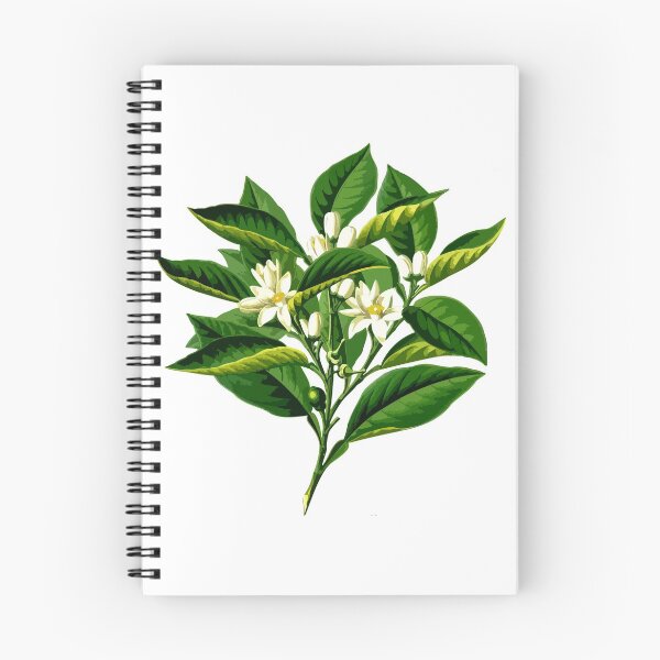 Item preview, amazing flower designed and sold by KekoStore.