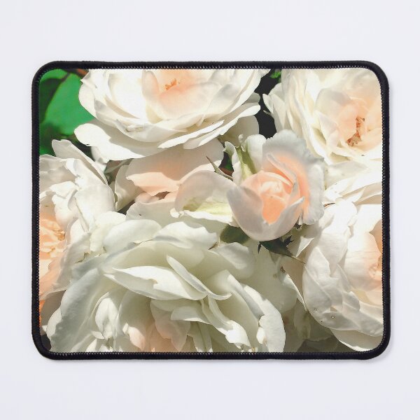 Item preview, Italian Peach Roses Digital Photo designed and sold by dragonbee.