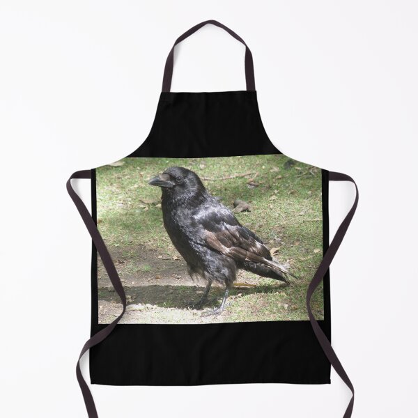 Item preview, Carrion Crow in the Sunshine Photograph designed and sold by naturegallery.