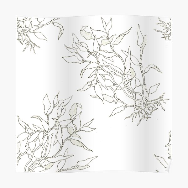 Leafy bushes on white Poster