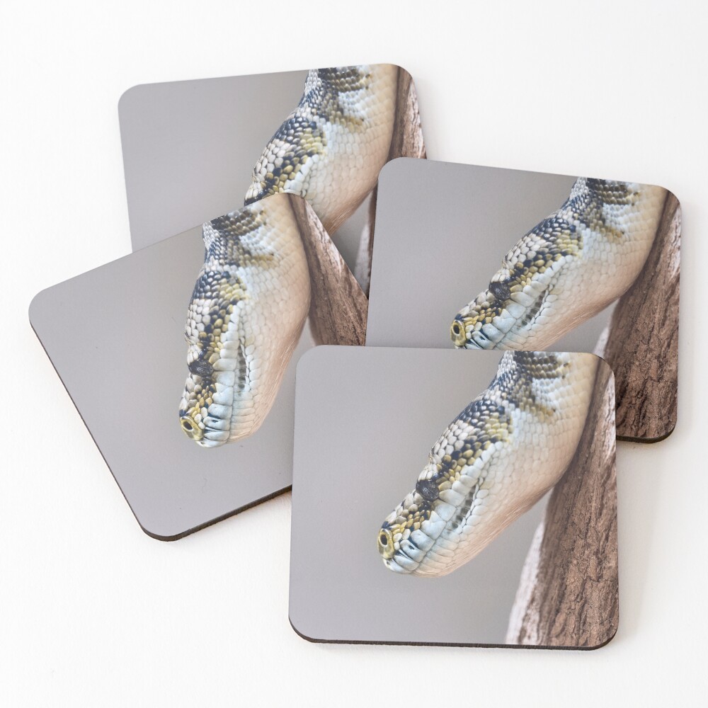 Item preview, Coasters (Set of 4) designed and sold by hendrikspix.