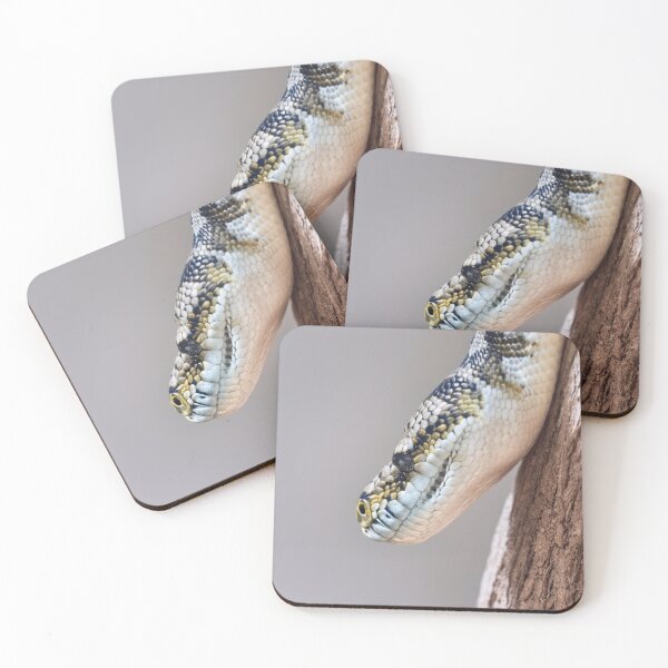 Item preview, Carpet python  designed and sold by hendrikspix.