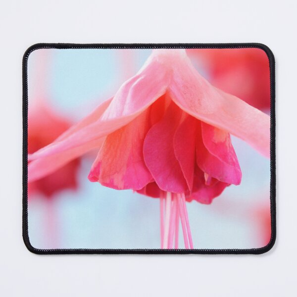 Item preview, Fuchsia  'Bicentennial'  designed and sold by Chris Burrows.