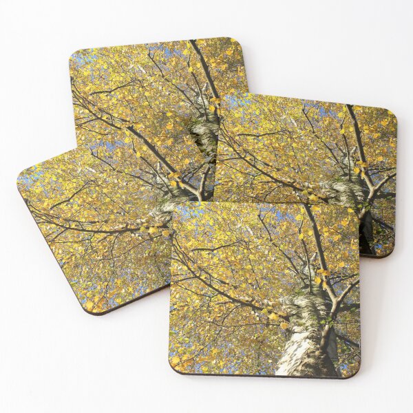 Item preview, Vibrant Betula pendula, yellow autumn foliage designed and sold by Imladris01.