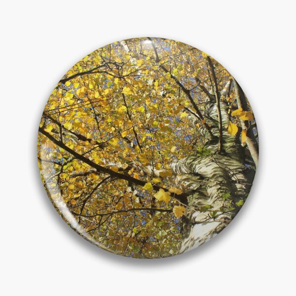 Item preview, Vibrant Betula pendula, yellow autumn foliage designed and sold by Imladris01.