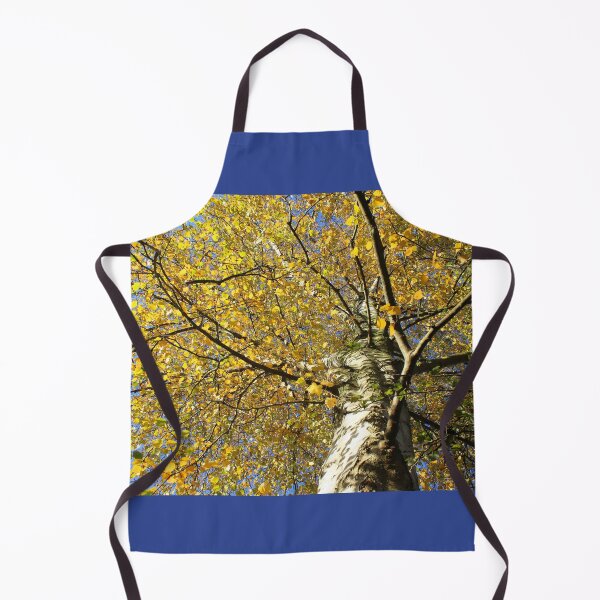 Item preview, Vibrant Betula pendula, yellow autumn foliage designed and sold by Imladris01.