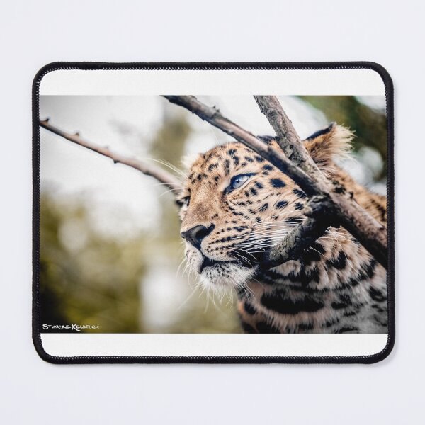 Love Panther IV Mouse Pad