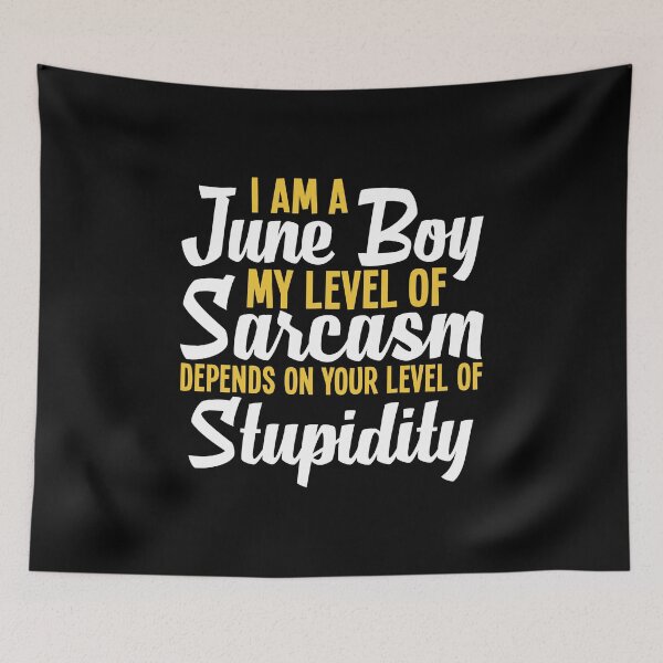 Item preview, I Am A June Boy, My Level of Sarcasm Depends on Your Level of Stupidity, Birthday Boy June Month designed and sold by Merchking1.