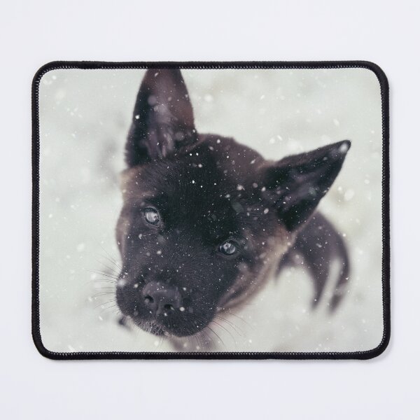 Item preview, Snowy Season Akita Dog designed and sold by TheWildFlix.