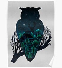 Owlscape Poster