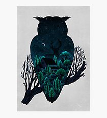 Owlscape Photographic Print