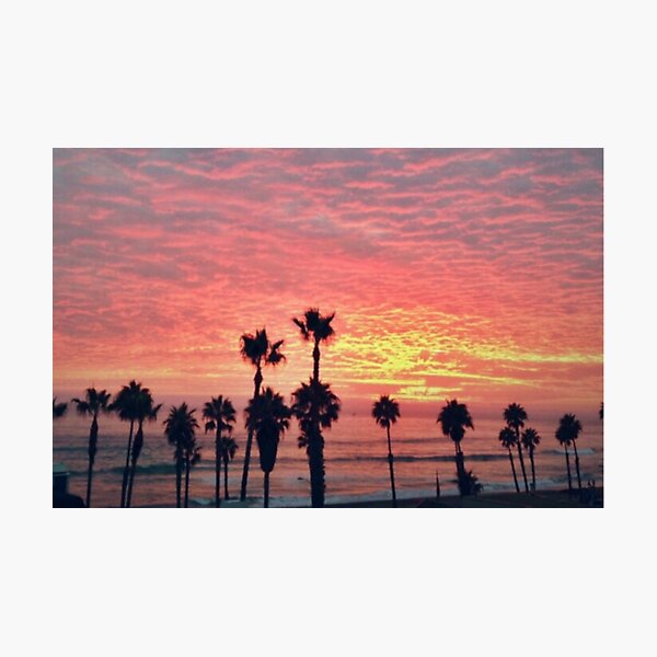 Item preview, Sunset Palms designed and sold by 4EverSurferGirl.