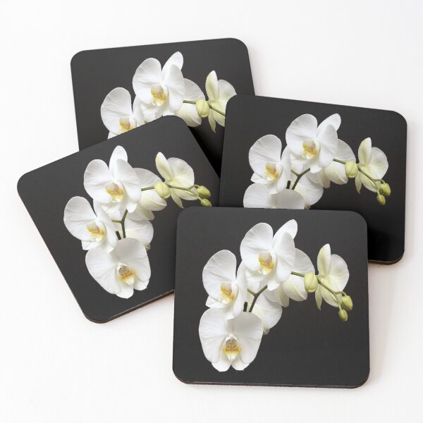 Item preview, White Phalenopsis Orchid Altered Photograph designed and sold by OByD.