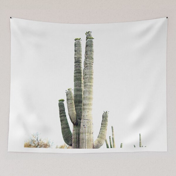 Item preview, Desert cactus designed and sold by Shawa Shop.
