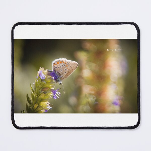 Butterfly on the spot Mouse Pad