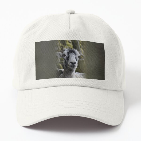 Nosey sheep looking through a wooden gate Dad Hat