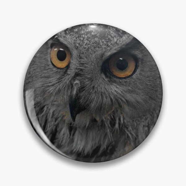 Item preview, The owl designed and sold by Catharina Dahlqvist.