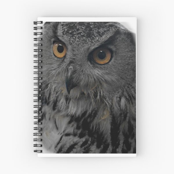 Item preview, The owl designed and sold by Catharina Dahlqvist.