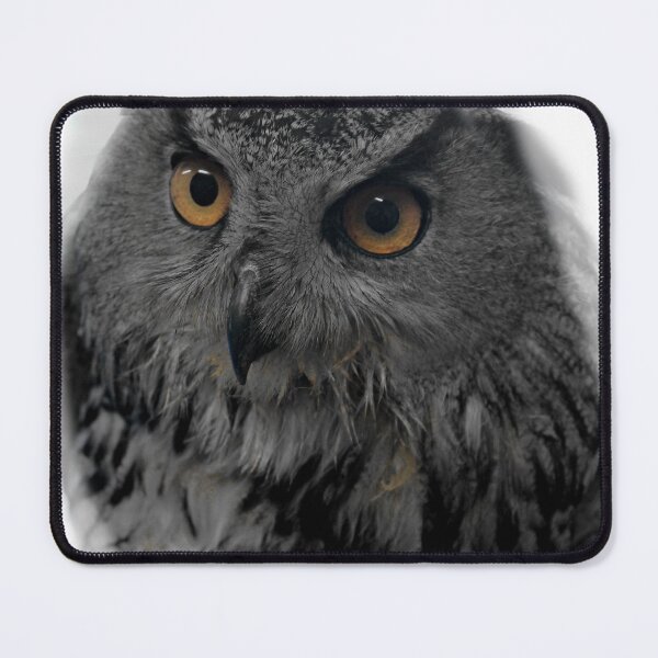 Item preview, The owl designed and sold by Catharina Dahlqvist.