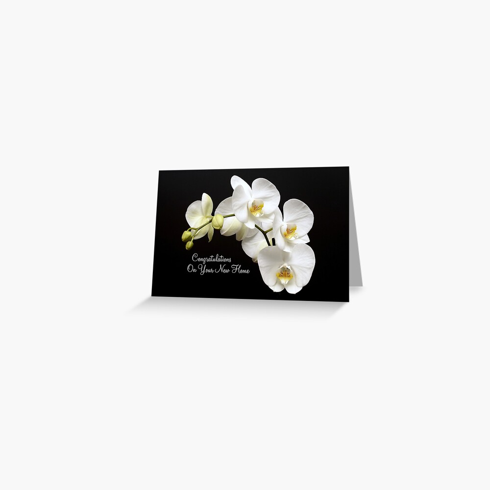 congratulations-on-your-new-home-phalaenopsis-orchid-greetings-card