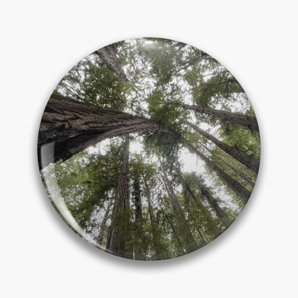 Item preview, California Redwoods designed and sold by Sk8rdadi.