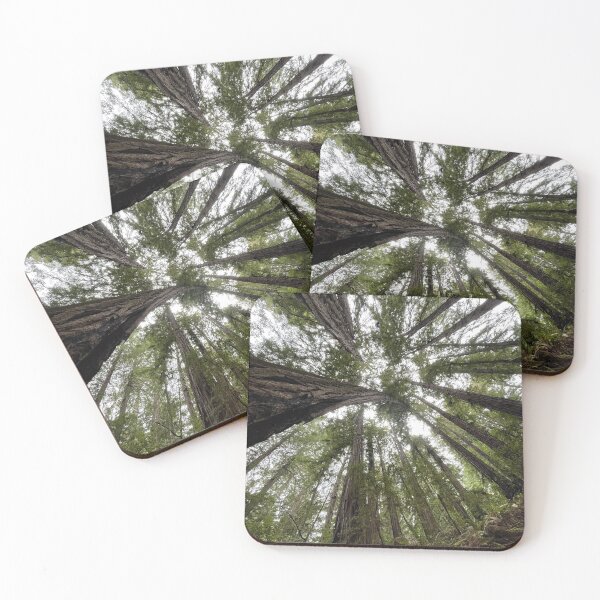 Item preview, California Redwoods designed and sold by Sk8rdadi.
