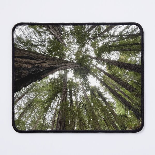 Item preview, California Redwoods designed and sold by Sk8rdadi.