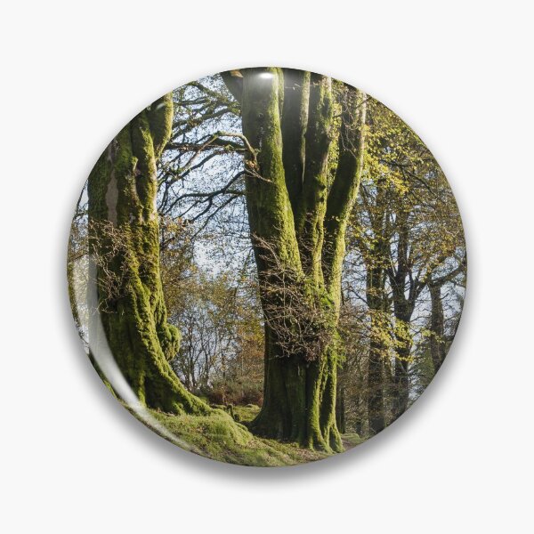 Item preview, Mossy trees along a Dartmoor track designed and sold by Jean Fry.