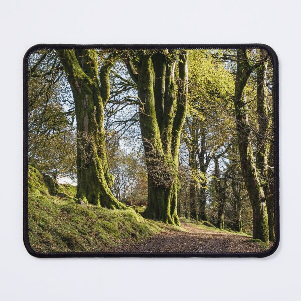 Item preview, Mossy trees along a Dartmoor track designed and sold by Jean Fry.