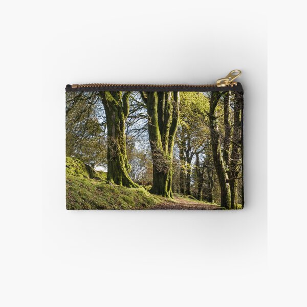 Aperçu de l'œuvre Arbres moussus le long d'une piste de Dartmoor créée et vendue par Jean Fry.