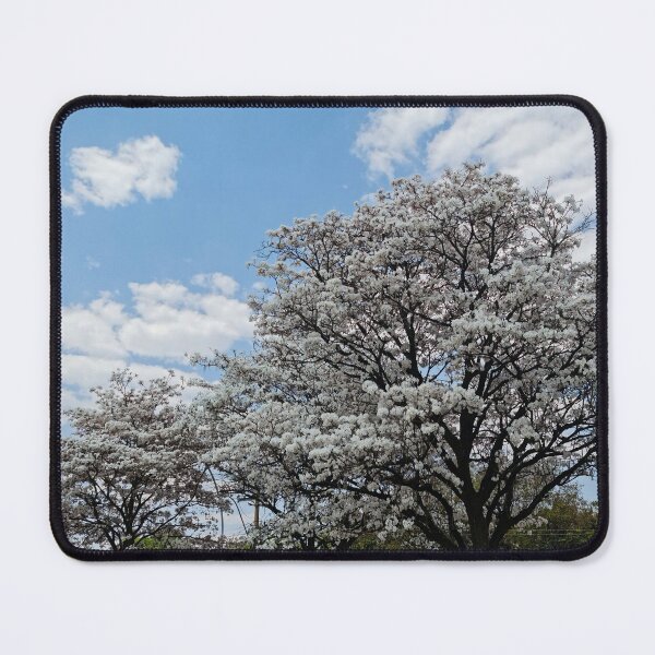 Item preview, Trees Blooming Cute White Flowers designed and sold by Brasilia.