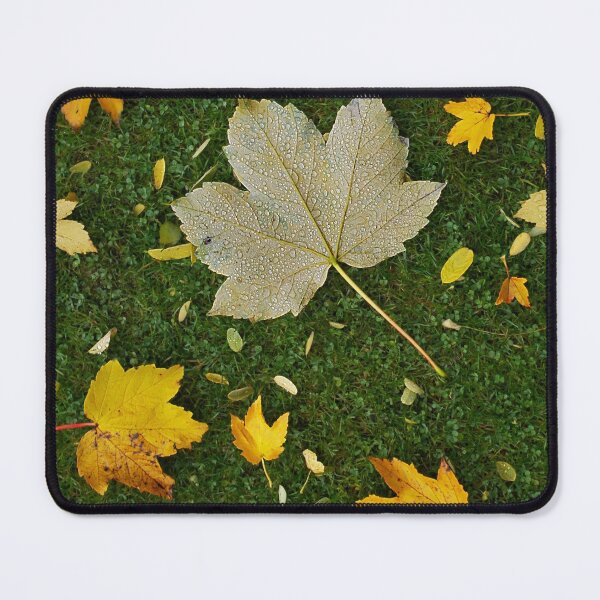 Item preview, Autumn Flat Lay designed and sold by Fay Freshwater.