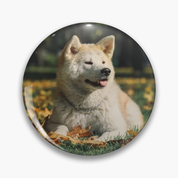 Item preview, Autumn Season Akita Dog  designed and sold by TheWildFlix.