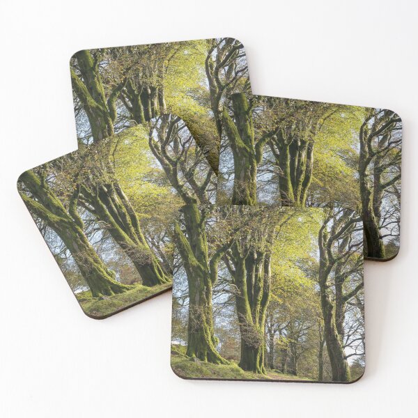 Item preview, Mossy Trees along a Dartmoor track designed and sold by Jean Fry.