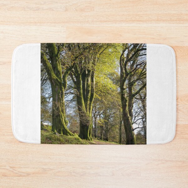 Item preview, Mossy Trees along a Dartmoor track designed and sold by Jean Fry.