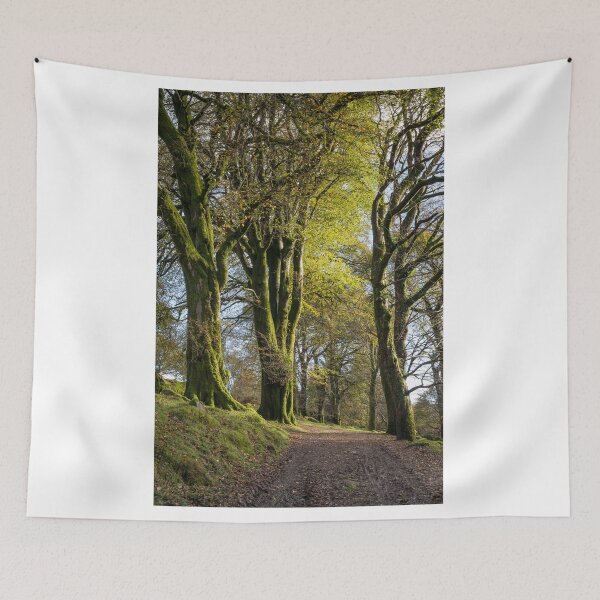 Item preview, Mossy Trees along a Dartmoor track designed and sold by Jean Fry.
