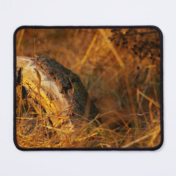 Item preview, Golden Atmosphere designed and sold by Fay Freshwater.