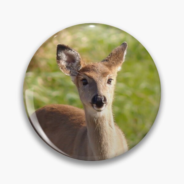 Item preview, Spring Doe designed and sold by emilyawoodruff.