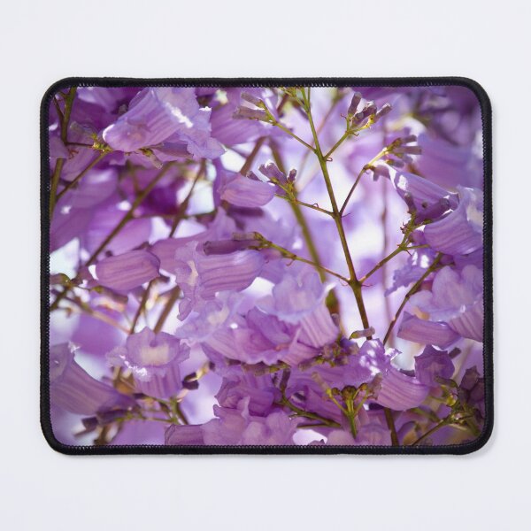 Item preview, Jacaranda time  designed and sold by MargsNaturePix.