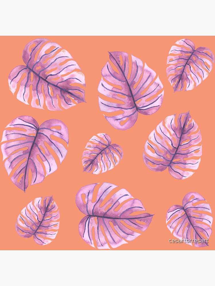"Pink monstera leaves" Sticker for Sale by cesartorresart Redbubble