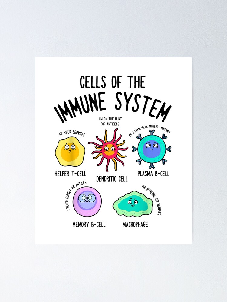 Cells at Work! Provides a Hilarious and Surprisingly Accurate Review of the  Immune System